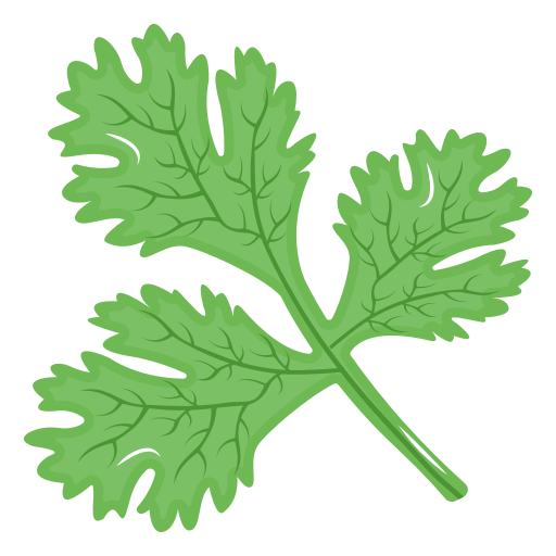 گشنیز