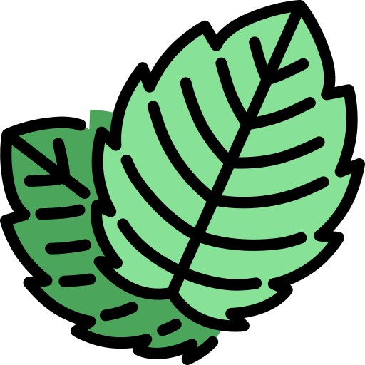 نعنا